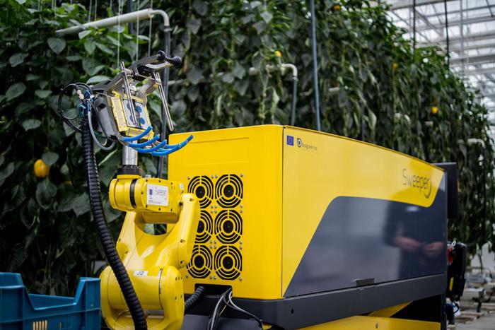 Sweeper, il robot che raccoglie ortaggi e frutta