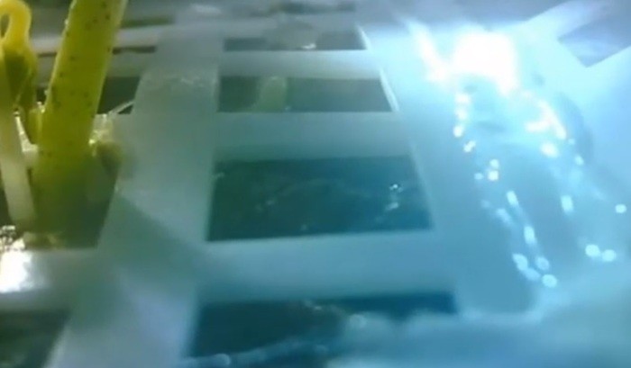 Nato il primo germoglio sulla Luna, è di cotone – VIDEO