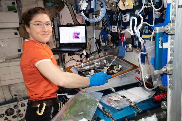 In vista nuovo record, una donna nello spazio per un anno