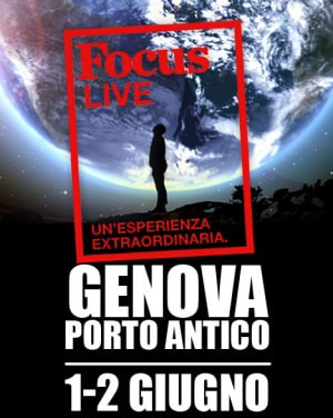 Focus Live 2019