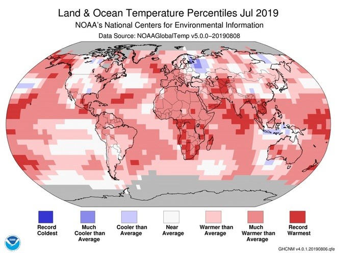 Luglio 2019 il mese più caldo da 140 anni