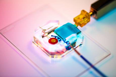 Un occhio su chip, creato in 3D con cellule umane