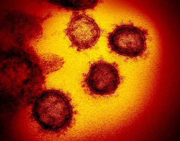 Il coronavirus in Italia da settimane prima del 21/2