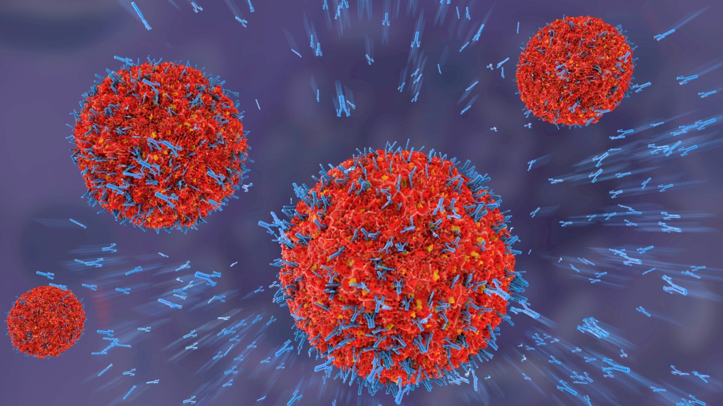 Coronavirus, gli anticorpi diminuiscono in fretta
