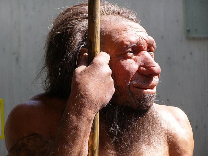 Il Dna del Neanderthal che c’è in noi rivive in provetta
