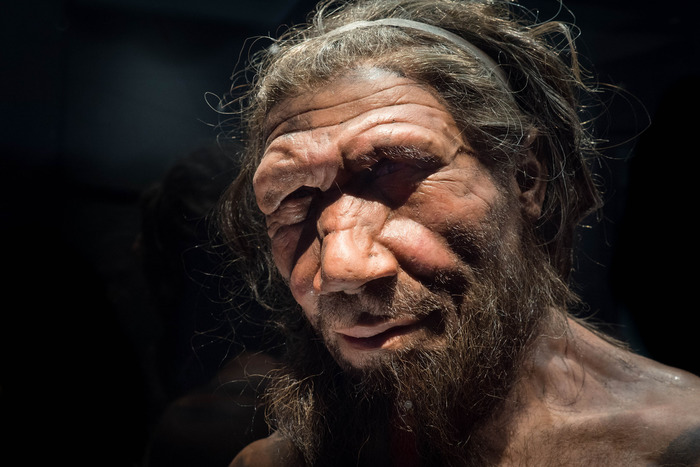 Grotte dei Neanderthal svelano le oscillazioni del Mediterraneo