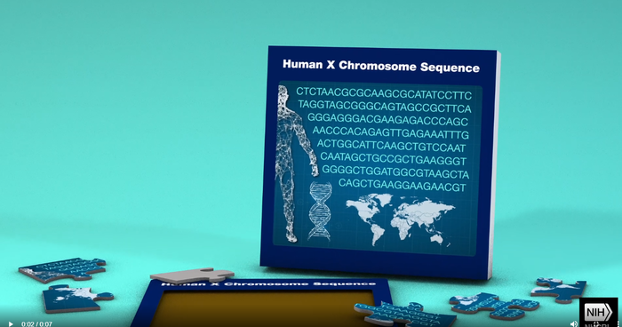 Ottenuto il primo ritratto completo del cromosoma X VIDEO