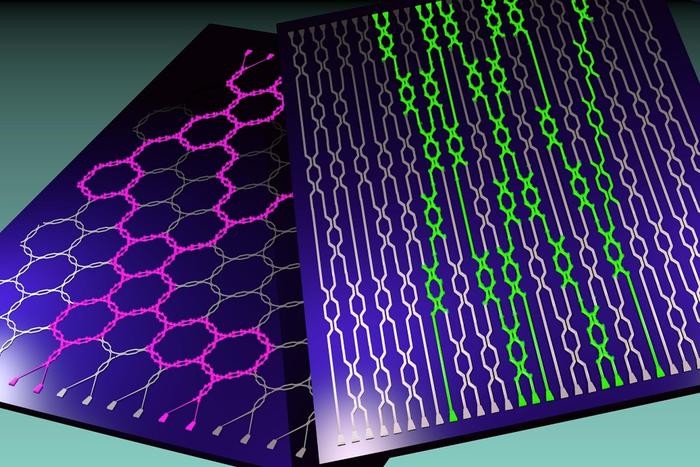 I circuiti di luce su chip diventano programmabili