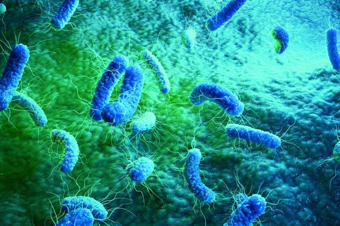 Messa a punto una nuova classe di antibiotici contro i batteri resistenti