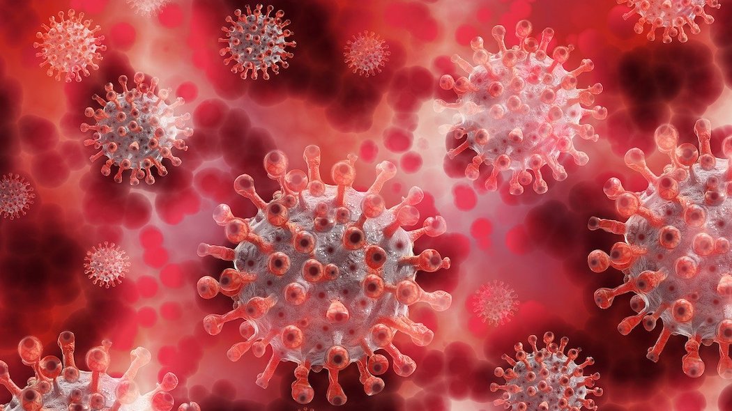 Un composto ottenuto dalle piante potrebbe in futuro aiutare a intrappolare il coronavirus