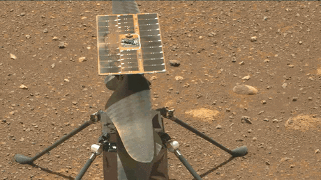 Marte, oggi il volo del drone-elicottero Ingenuity DIRETTA ALLE 12,15
