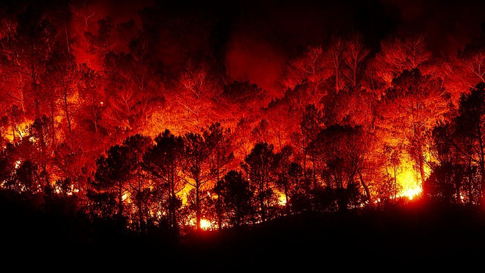 Incendi, dai boschi in fiamme sostanze nocive per il Mediterraneo