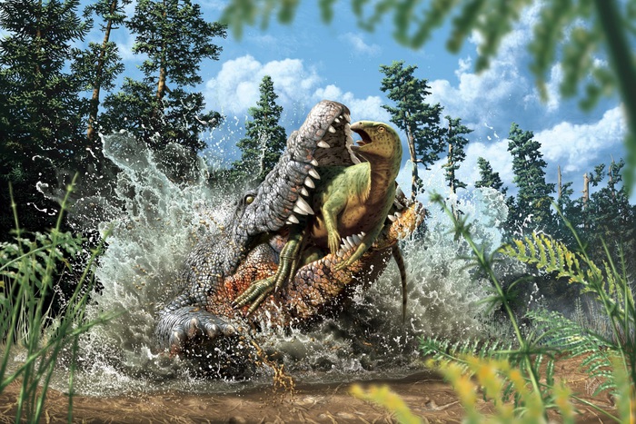 Trovato un baby dinosauro nella pancia di un antico coccodrillo