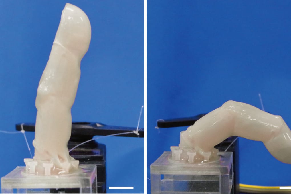 Costruito un dito robot ricoperto di pelle umana