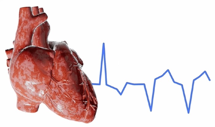 Protoni e IA per ‘spegnere’ le aritmie cardiache