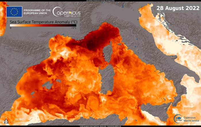 Mar Mediterraneo, lieve calo delle temperature a fine agosto