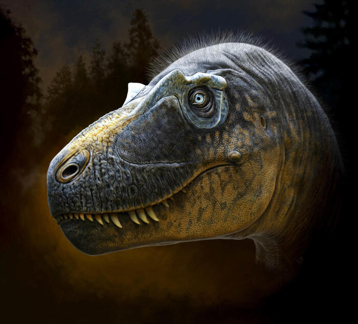 Ecco ‘Sisifo’, nuovo tirannosauro antenato del T-rex
