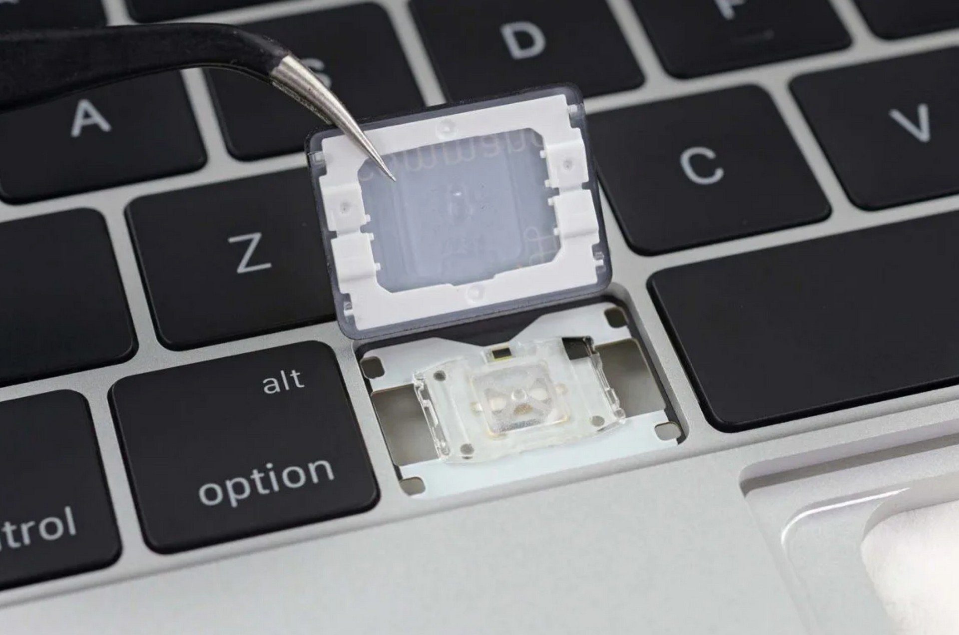 Apple colpevole: pagherà 50 milioni di dollari per i MacBook con tastiera a farfalla