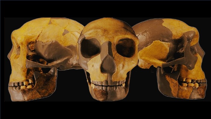 I resti di un ominide scoperto in Cina potrebbero riscrivere l’evoluzione umana