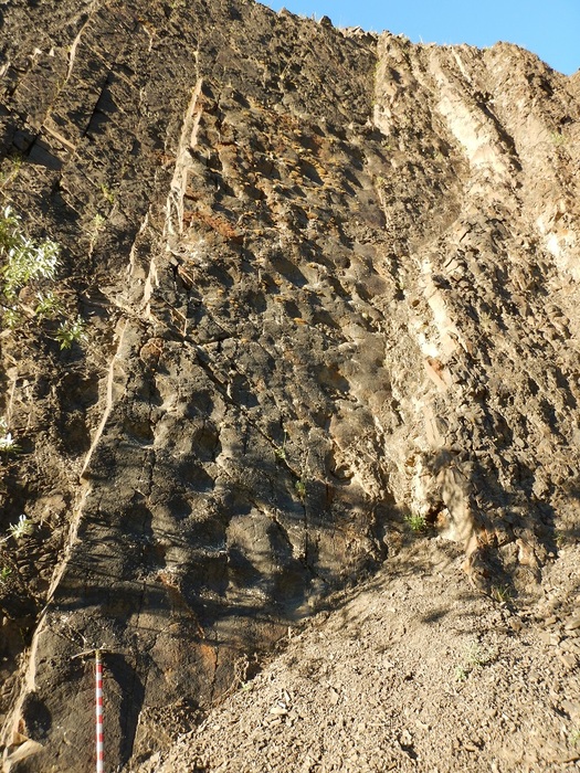 In Alaska il Colosseo dei dinosauri, con centinaia di impronte