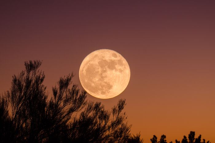 L’ultima Superluna del 2023 dà spettacolo, è la quarta dell’anno