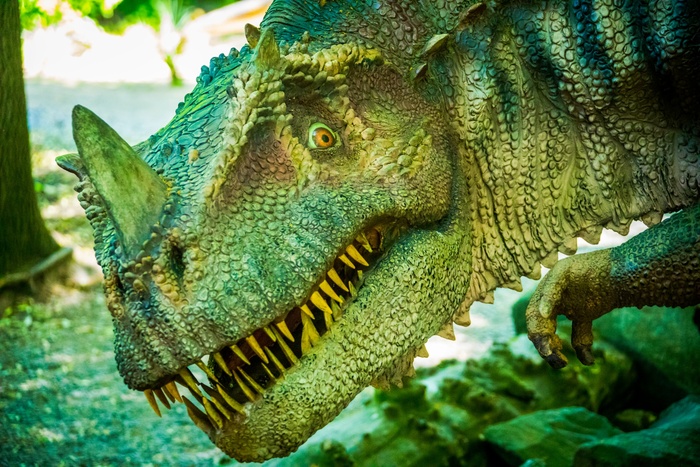 L’invecchiamento umano potrebbe essere colpa dei dinosauri
