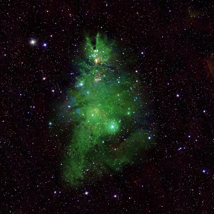 Un albero di Natale nello spazio, è formato da giovani stelle VIDEO