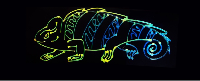 Dai camaleonti una nuova tecnica di stampa 3D multicolore