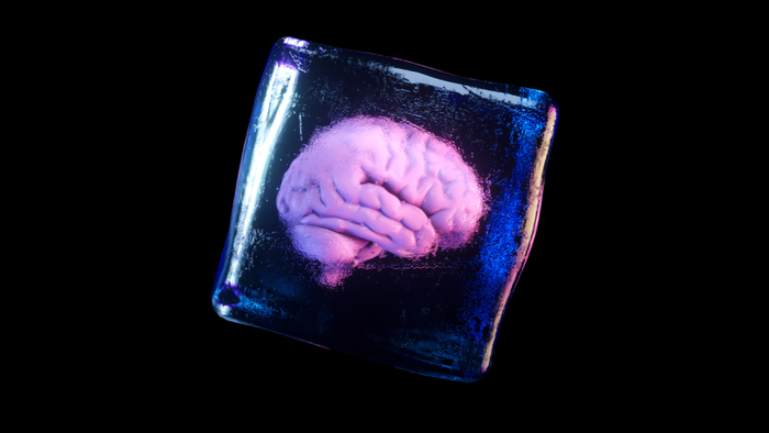 Tessuto cerebrale umano scongelato senza danni, riprende vita