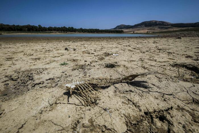 Periodi di siccità sempre più lunghi, almeno10 giorni in più