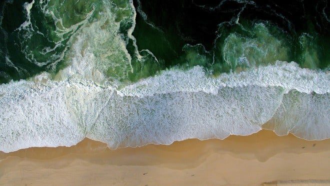 Oceani sempre più scuri, un pericolo per la vita marina