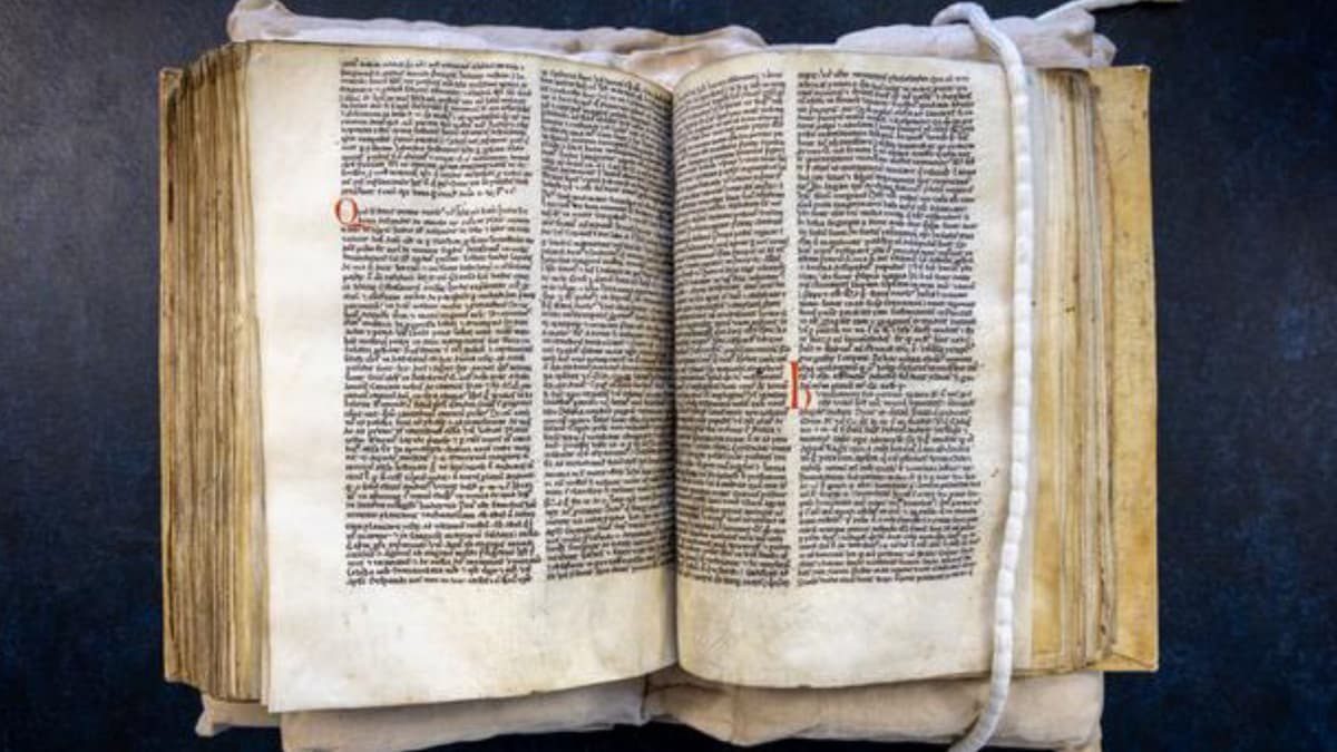 Lupi o elfi? Una parola cambia una leggenda di 800 anni