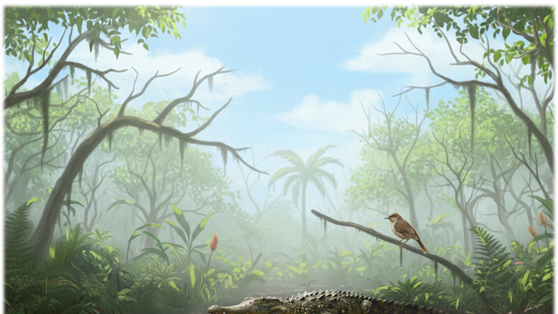 Uova deposte da antichi coccodrilli che salivano sugli alberi