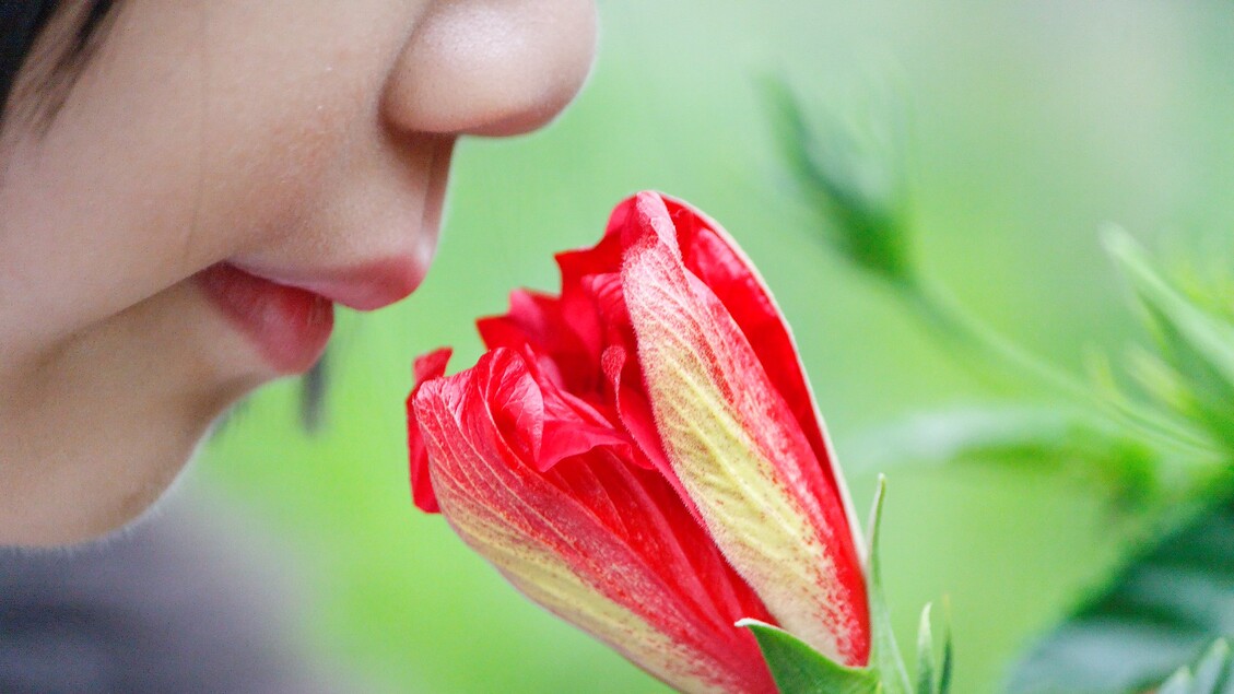 La percezione degli odori è più complessa del previsto